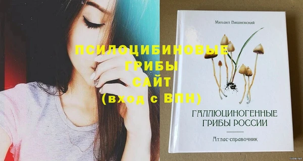 прущие грибы Бронницы