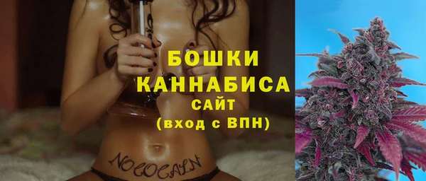 прущие грибы Бронницы