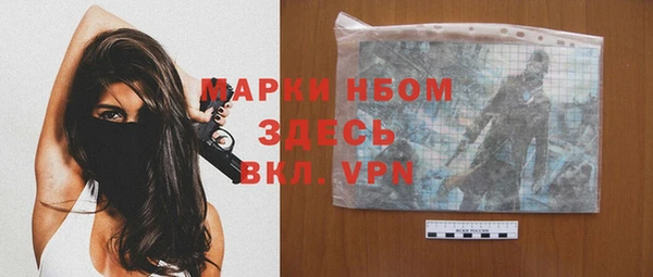 прущие грибы Бронницы