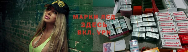 прущие грибы Бронницы