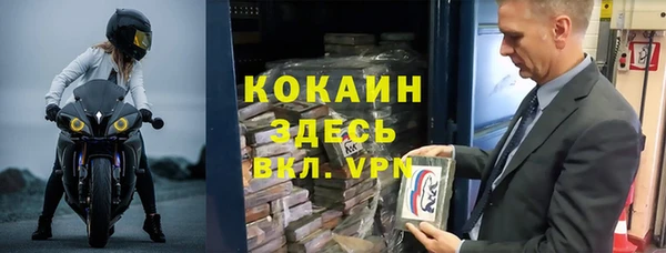 прущие грибы Бронницы