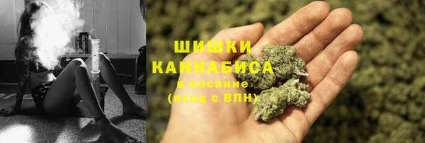 тгк Бородино