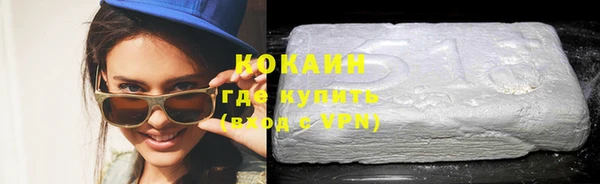 прущие грибы Бронницы