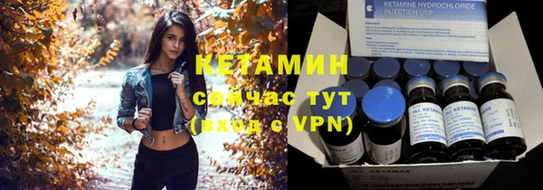 прущие грибы Бронницы