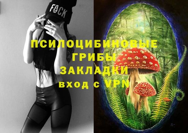 прущие грибы Бронницы