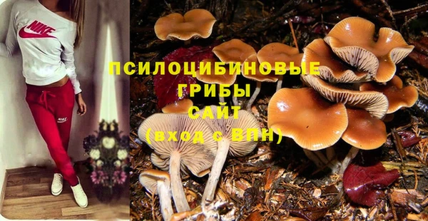 тгк Бородино