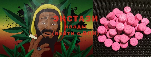 тгк Бородино