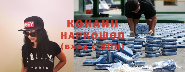 тгк Бородино
