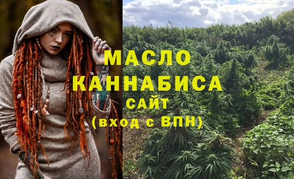 тгк Бородино