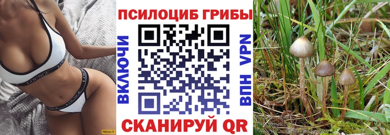 Псилоцибиновые грибы прущие грибы  Салехард 